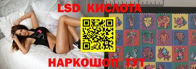 индика Партизанск