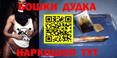 индика Партизанск