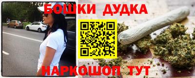 индика Партизанск